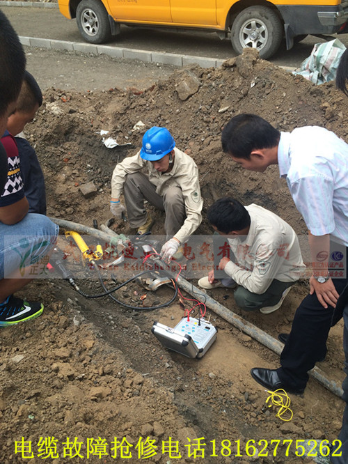 河北省地震局采購我公司電力電纜故障測(cè)試儀
