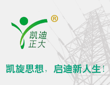 閥型避雷器計(jì)數(shù)器如何檢測(cè)？回顧國(guó)家絕緣子避雷器質(zhì)量監(jiān)督檢驗(yàn)中心檢驗(yàn)報(bào)告